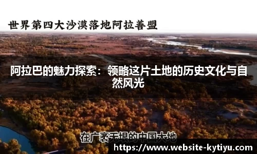 开云体育官网